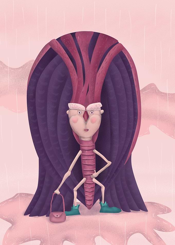 The King illustration