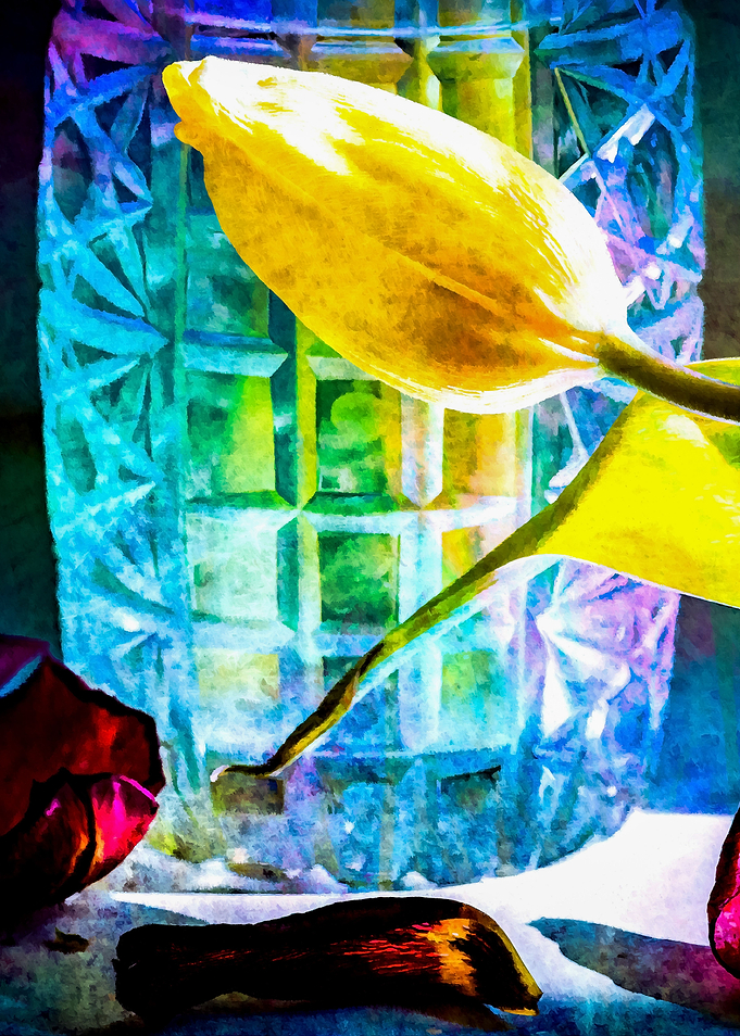 Yellow Tulip Sunlit Vase