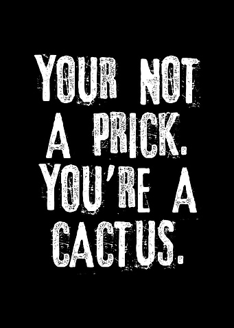 Rude Funny Quotes Prick