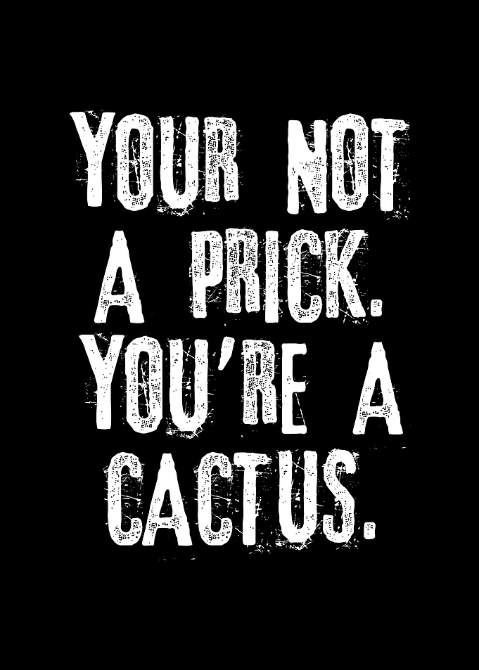 Rude Funny Quotes Prick