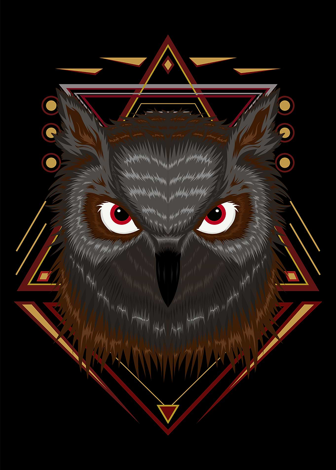 Owl vector Illustration