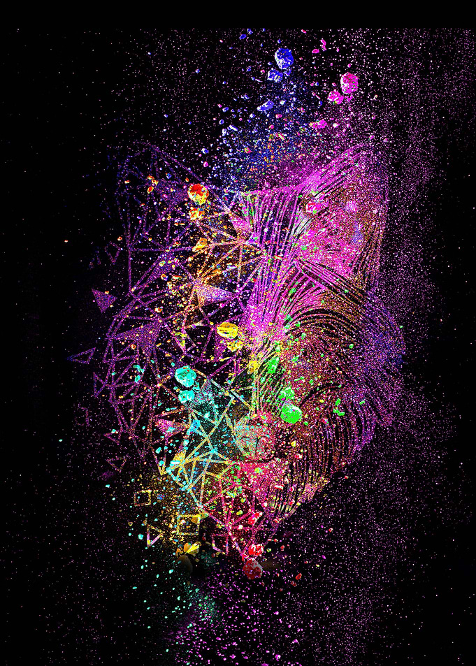 fox on splash colorful