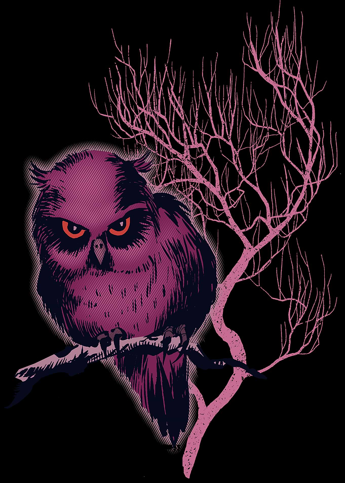 Grumpy Owl