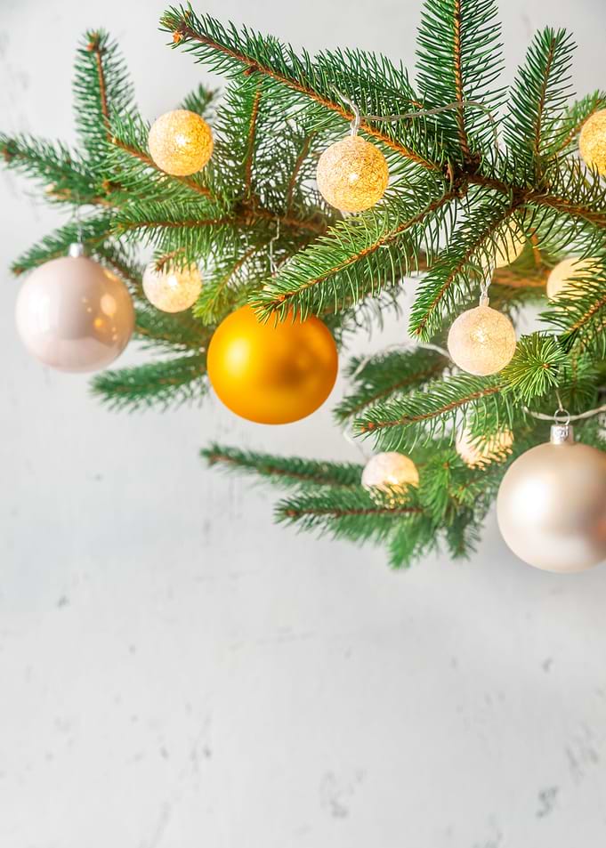 Christmas tree branch