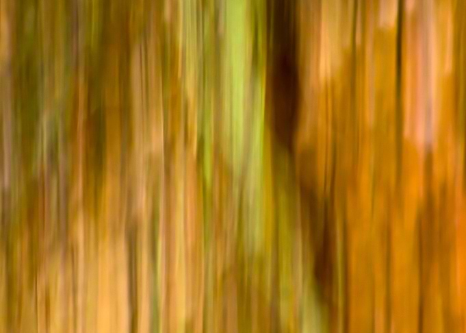 Autumn colored background