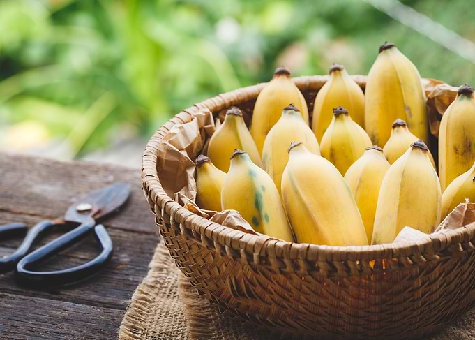 Fresh ripe bananas