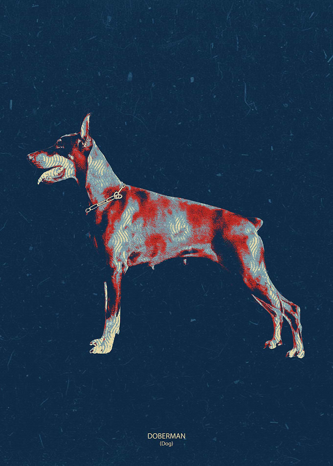 doberman