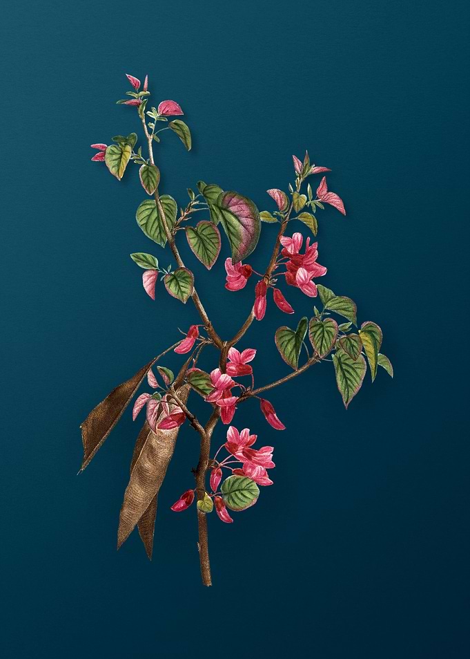 Vintage Flowers on Teal