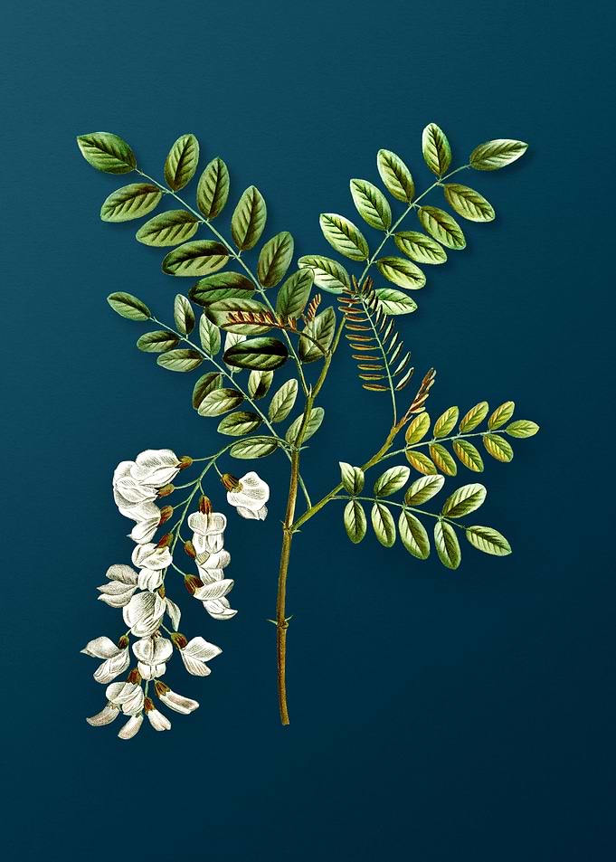 Vintage Flowers on Teal