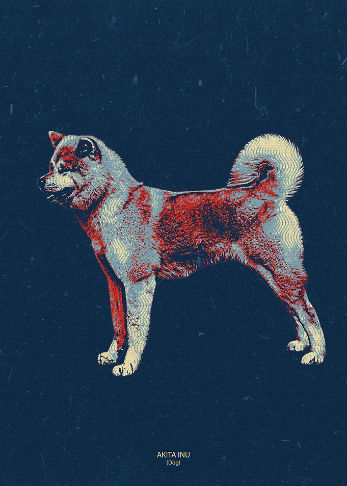 akita inu