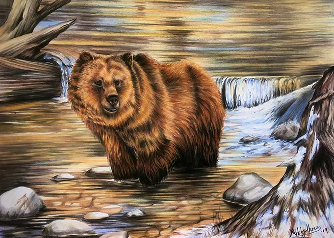 The Salmon Catcher