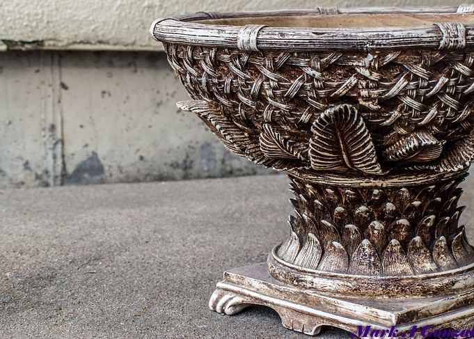 Bird Bowl Against A Wall