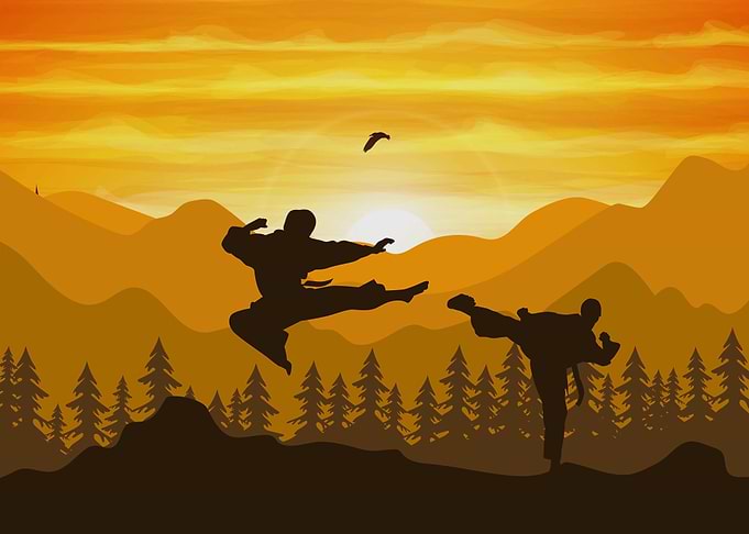 martial art fight