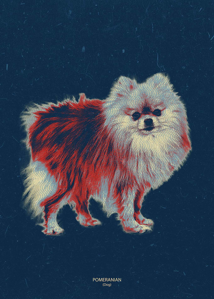 pomerania