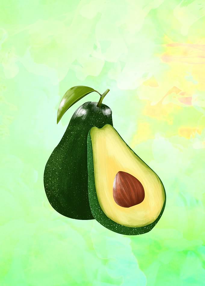 Avocado Fruit Food