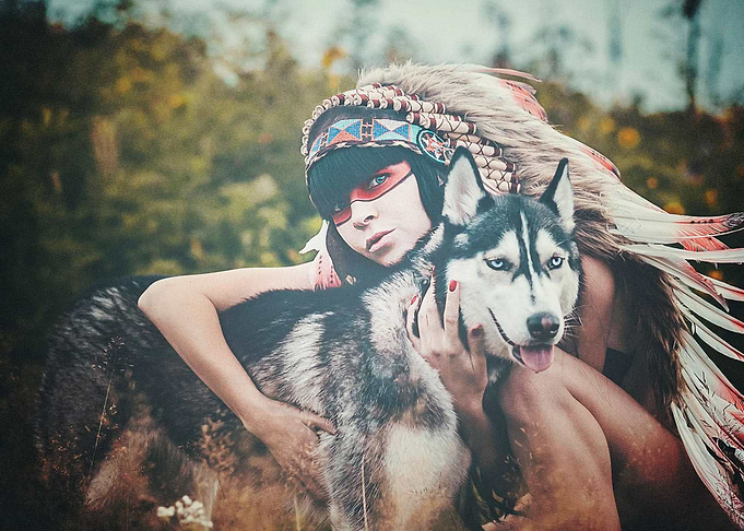Husky Dogs
