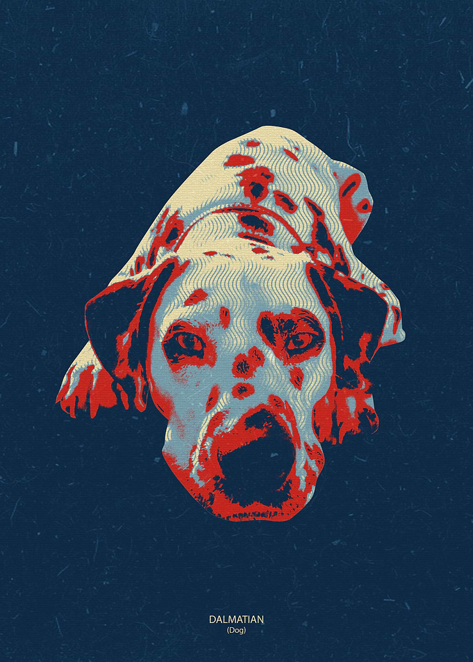 dalmatian