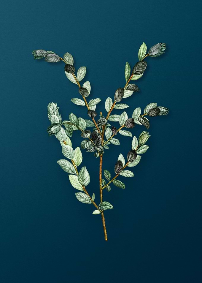 Vintage Florals on Teal