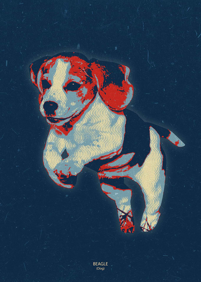 beagle