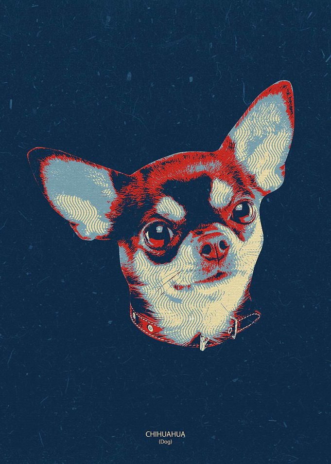 Chihuahua