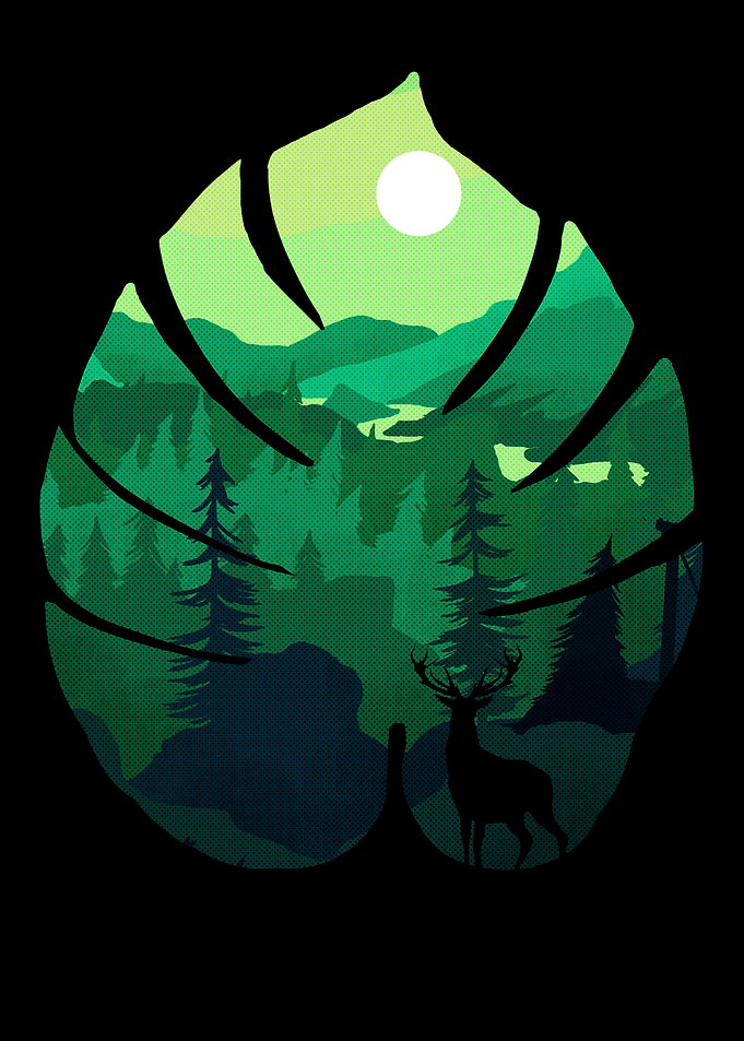 Selva