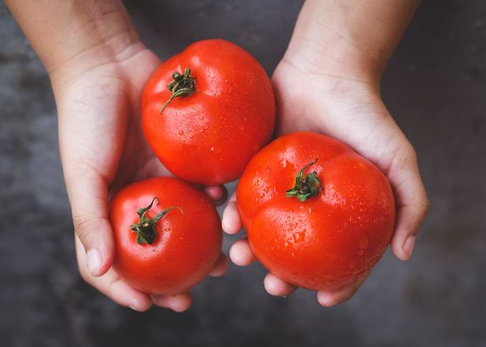 Red tomaotes