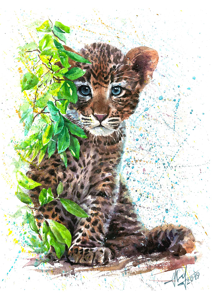 Little Leopard