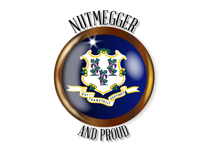 Connecticut Proud Flag