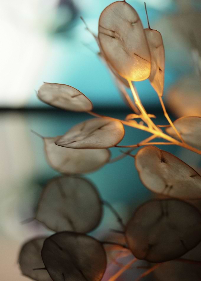 Dry flowers