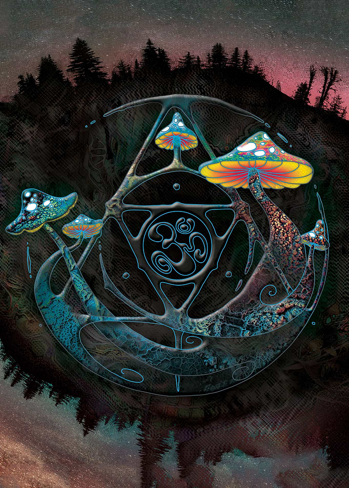 Mushroom Alchemy