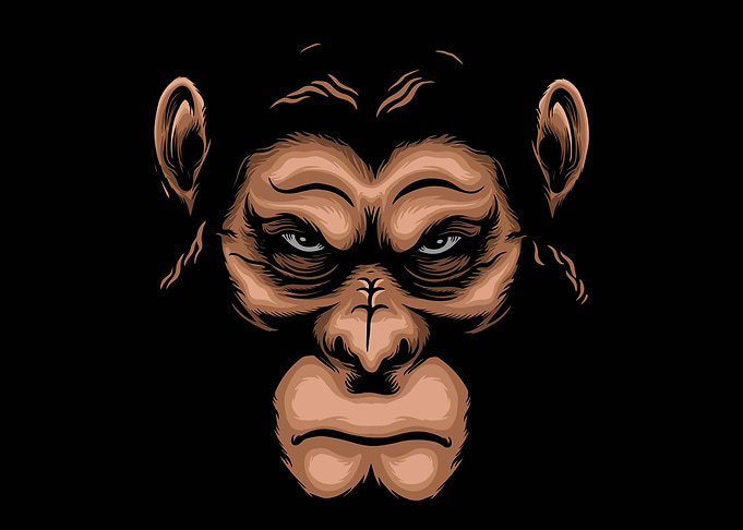 Angry Gorilla