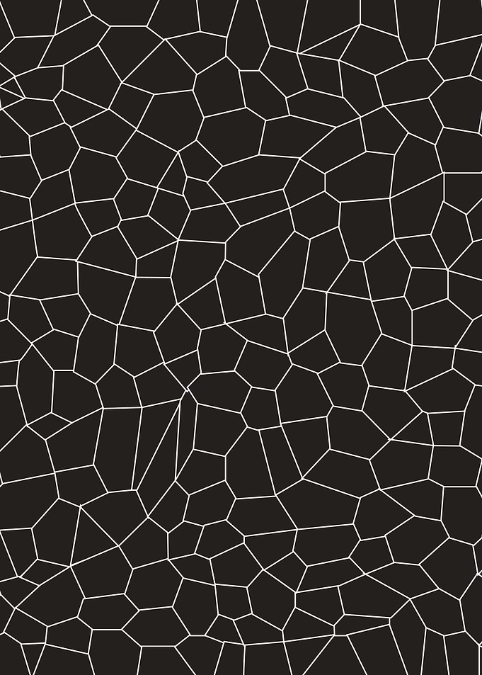 Black and White Mosaic