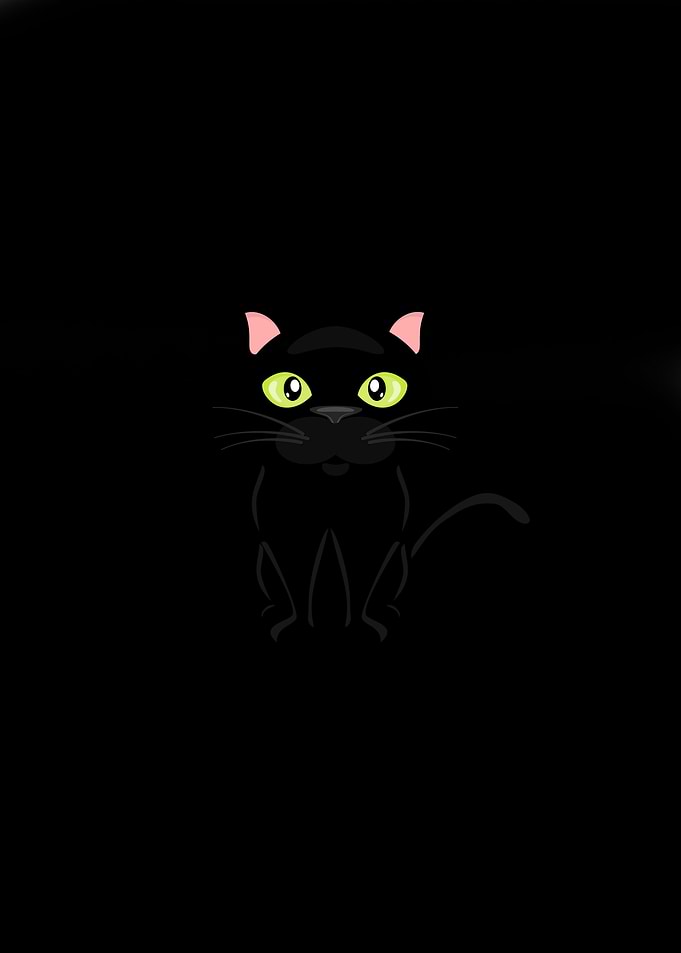 black cat