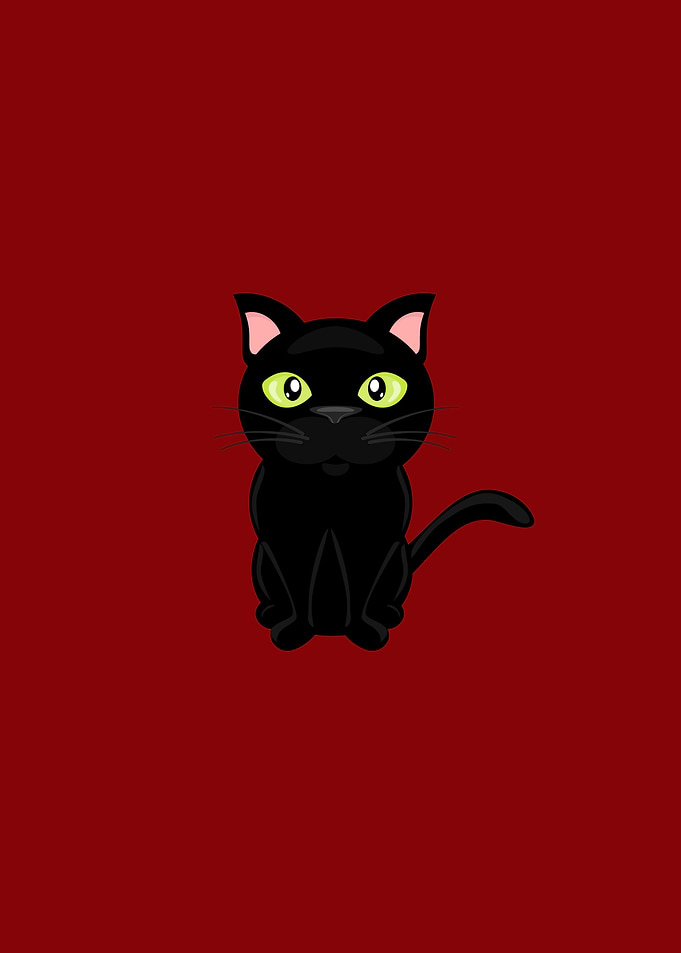 cute cat