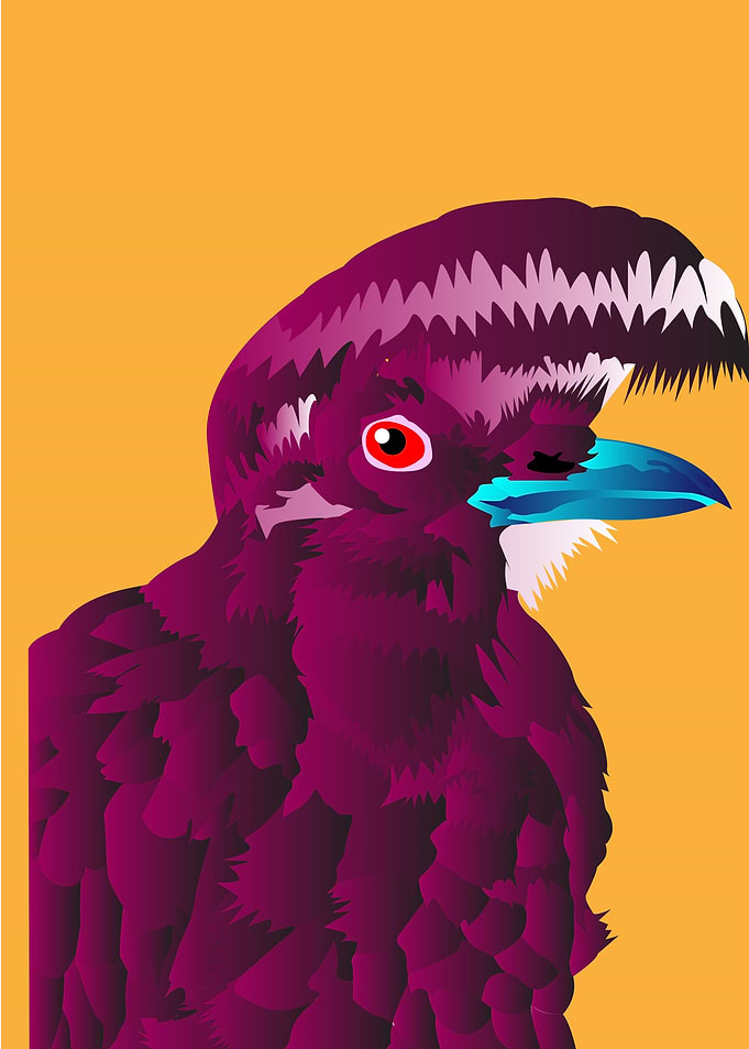 Cacatua