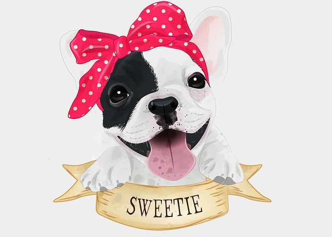 Sweetie Pug Dog
