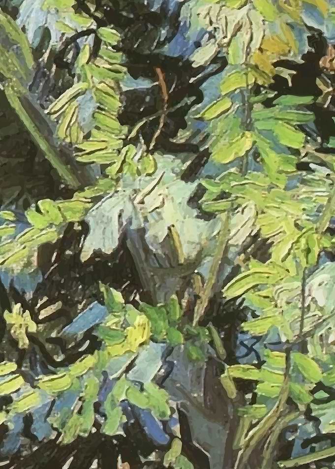 Acaacia Branches Van Gogh