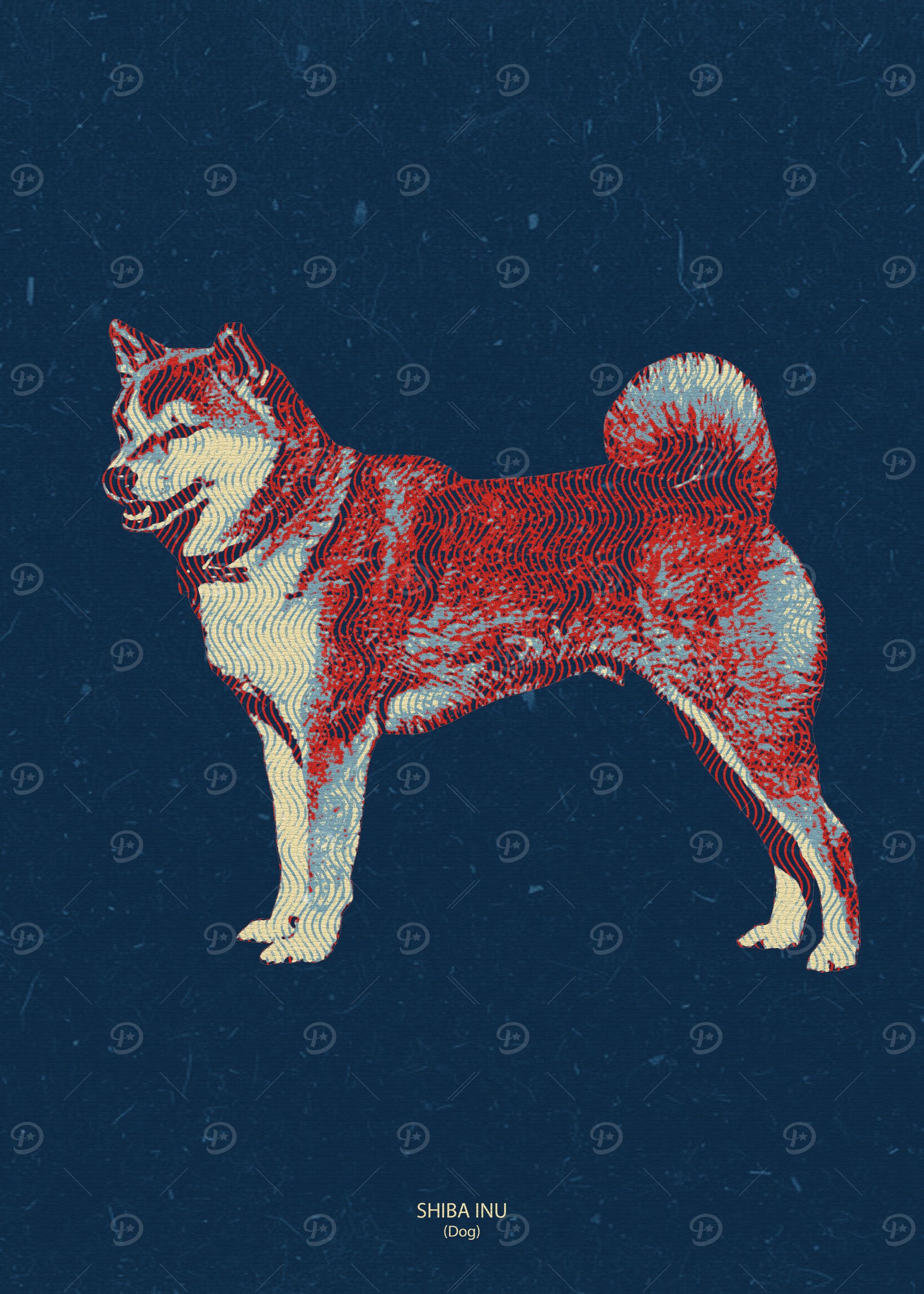 Shiba Inu