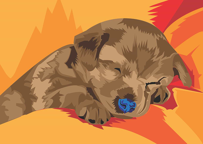 Puppy