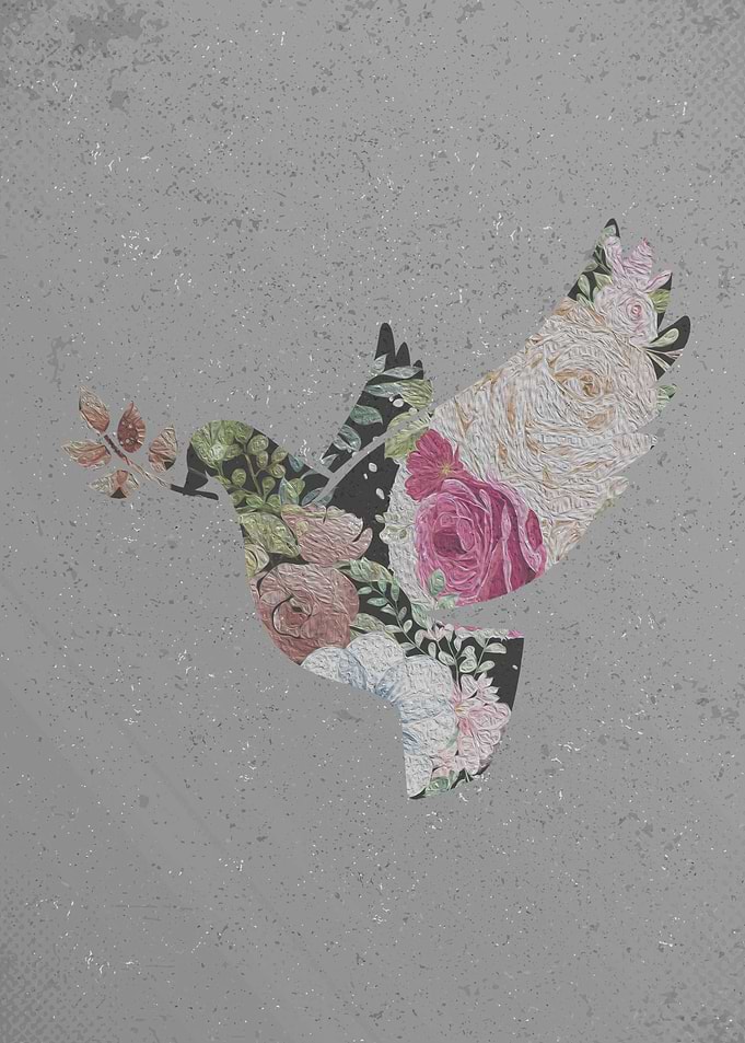 floral pigeon