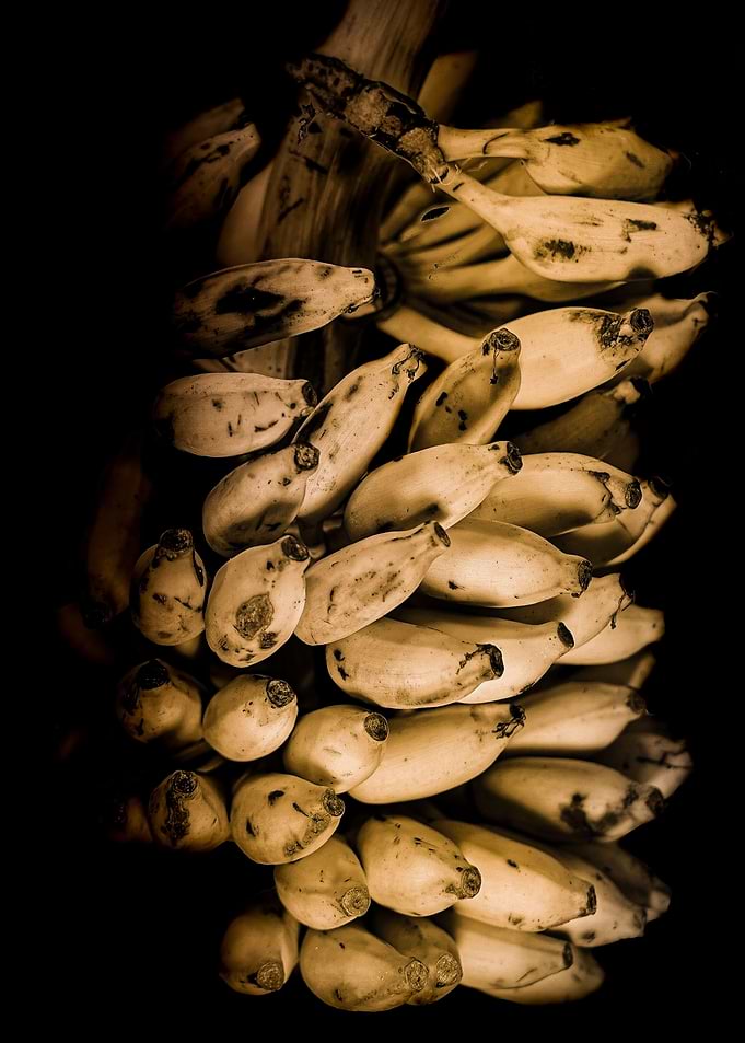 Bananas