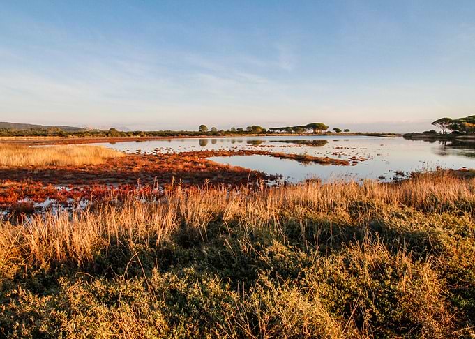 Orange on lagoon