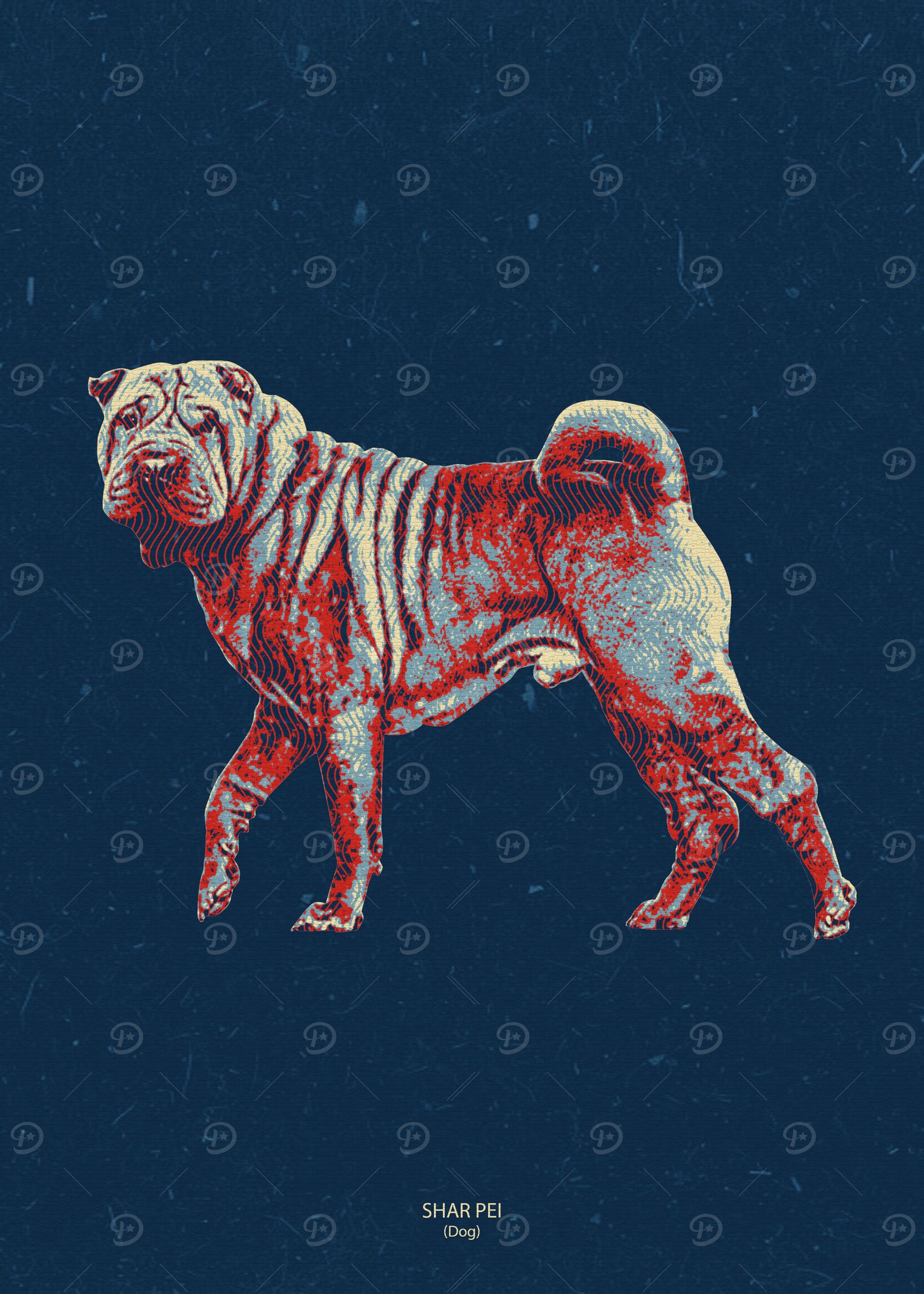 Shar Pei