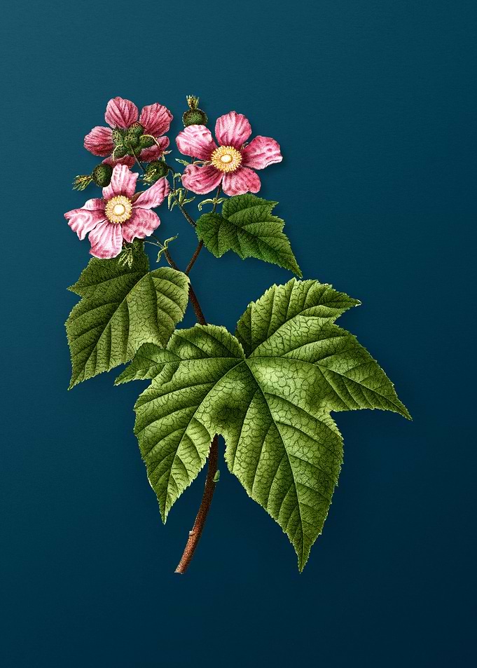 Vintage Flowers on Teal
