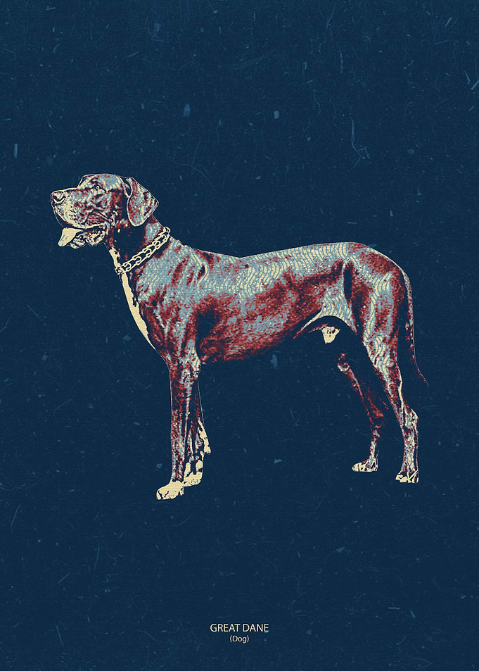 Great Dane