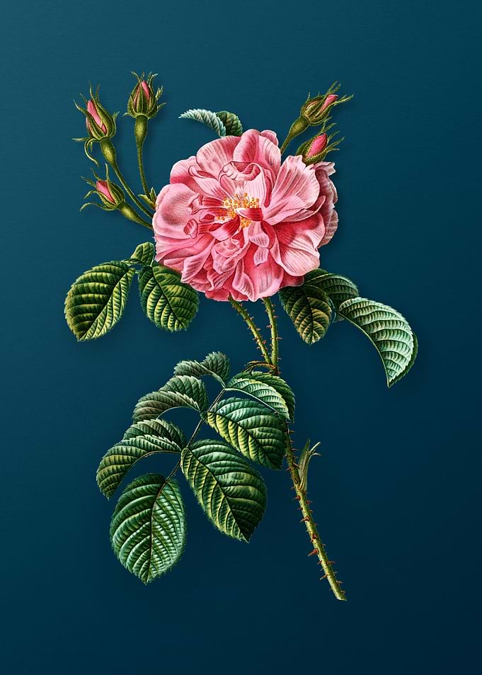 Vintage Flowers on Teal