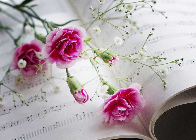 Man Made Flower Carnation