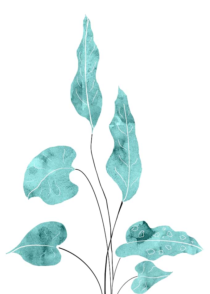 Tropical Leaves Finesse 1