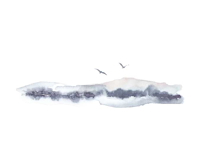 Windy Flight
