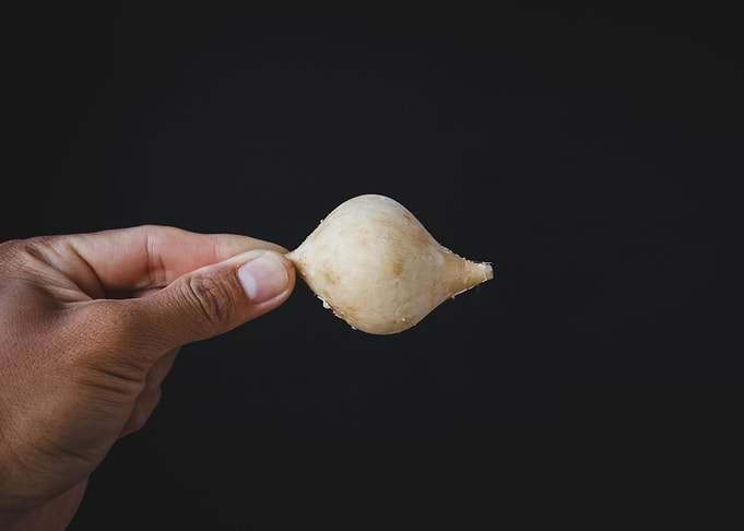 Fresh yam bean